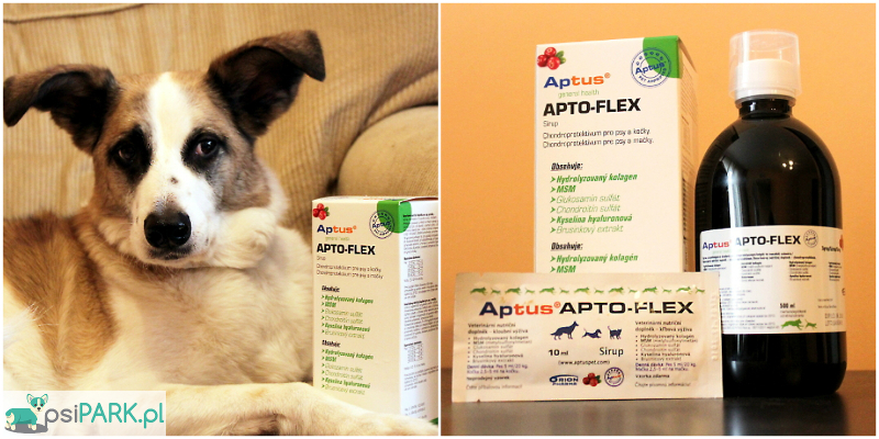 Syrop Aptus Apto-Flex z żurawiną Syrop Aptus Apto-Flex z żurawiną