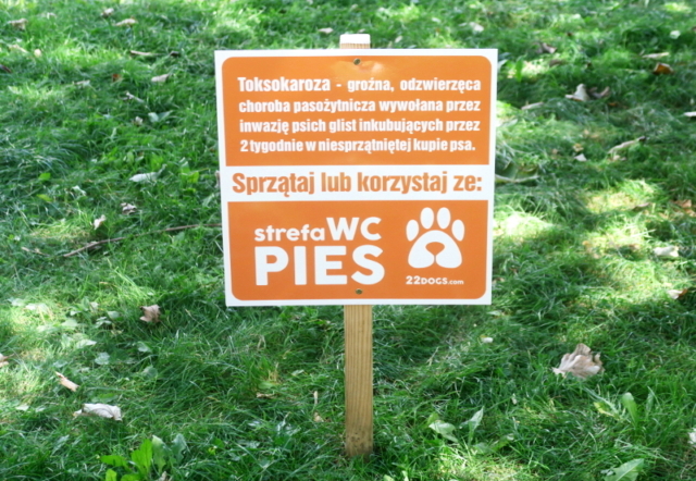 22DOGS Strefa WC 3