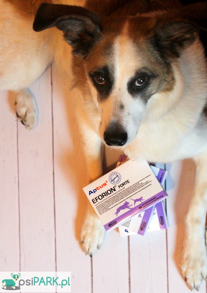 APTUS® EFORION FORTE APTUS® EFORION FORTE