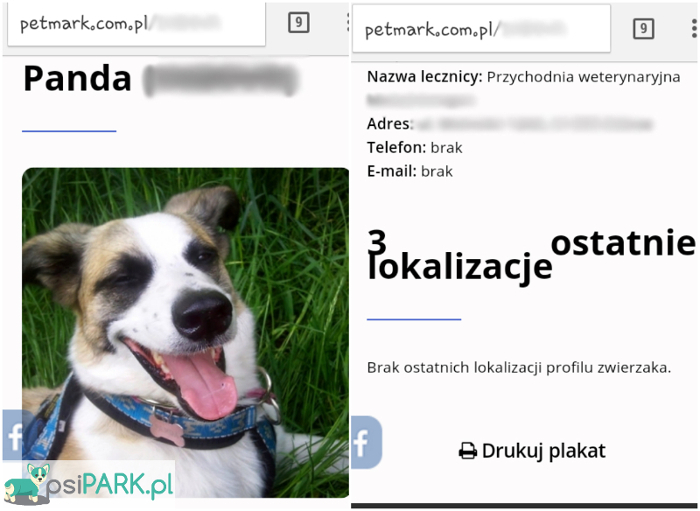 Zawieszka Petmark Zawieszka Petmark