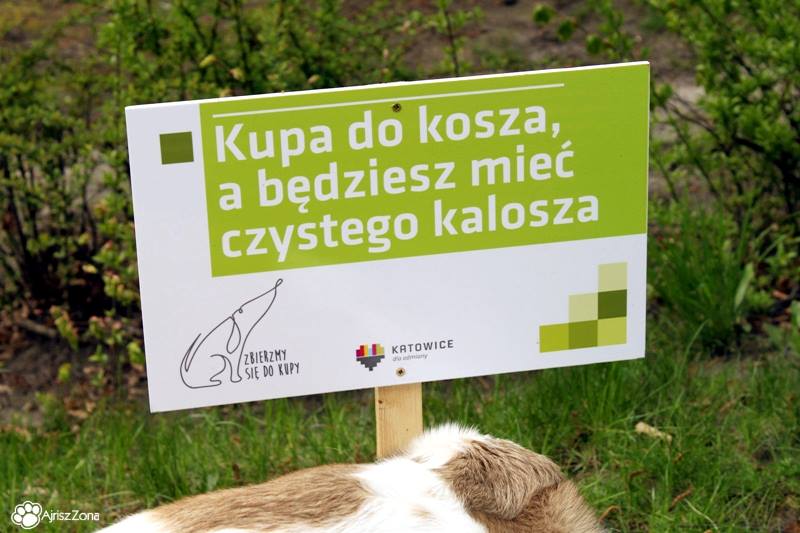 sposoby na psie kupy sposoby na psie kupy