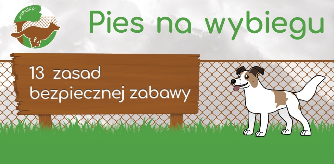 Jak bezpiecznie korzystać z wybiegu dla psów