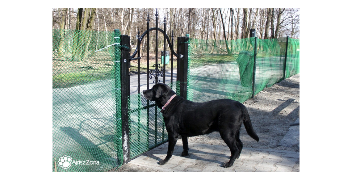 Wybieg dla psów Chorzów Park Śląski