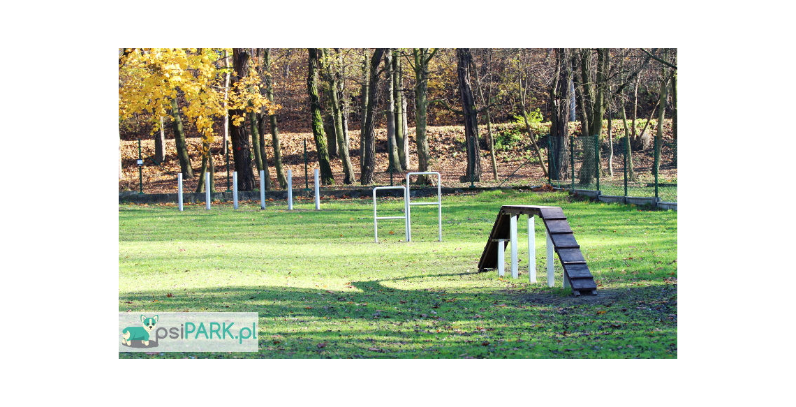 Wybieg dla psów Czeladź Rexarium Park Jordana