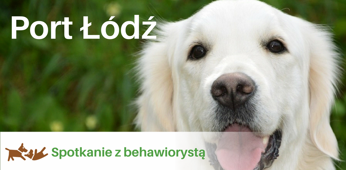 Spotkanie z psim behawiorystą w Porcie Łódź psiPARKpl