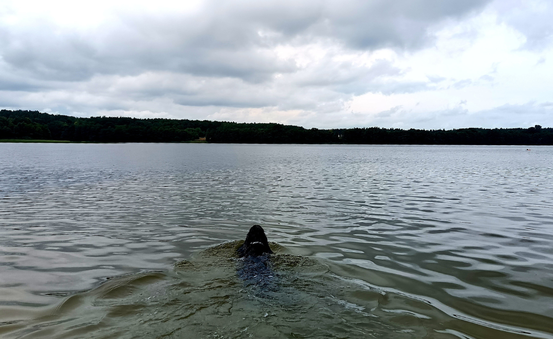 Wakacje z psem za granica nad woda to strzal w dziesiatke