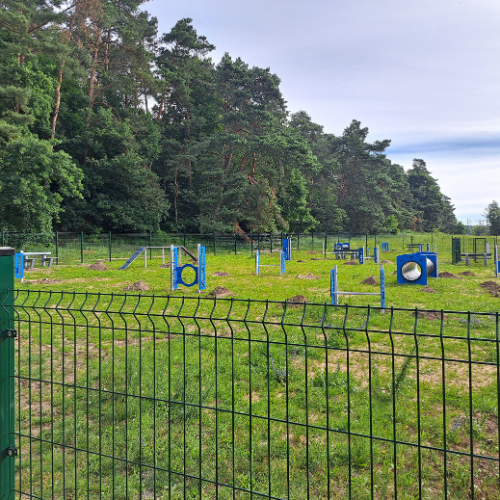 W Bydgoszczy powstaje nowy wybieg dla psów: Osowa Góra