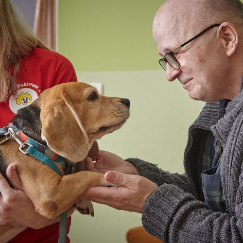 Ogólnopolski Dzień Dogoterapii