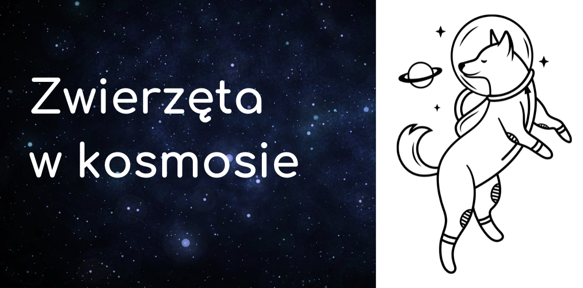 zwierzeta w kosmosie