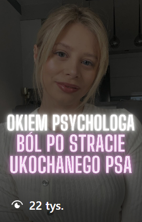 bol po stracie psa okiem psychologa