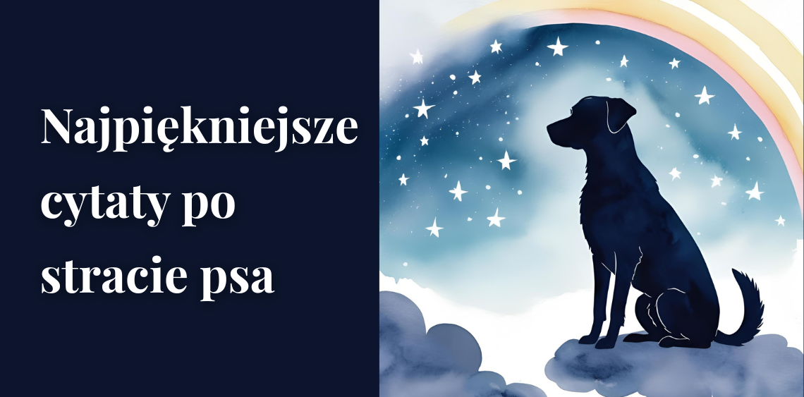 cytaty po stracie psa galeria