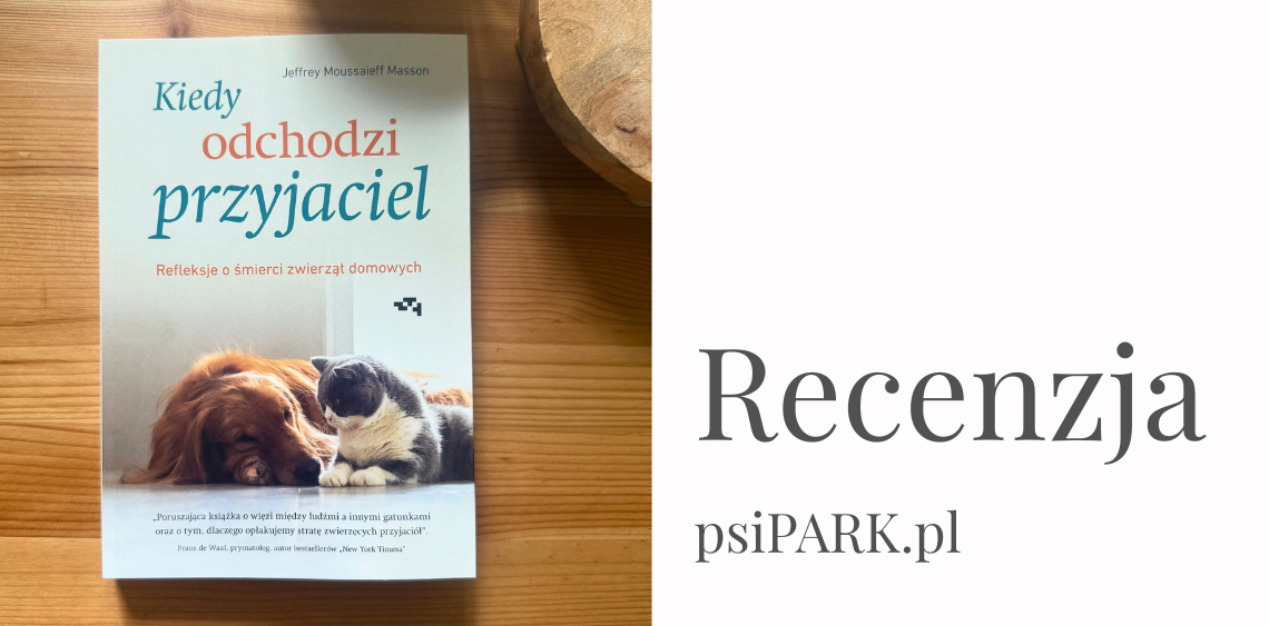 Kiedy odchodzi przyjaciel
