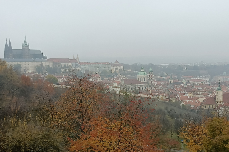 praga z psem magiczna o kazdej porze roku