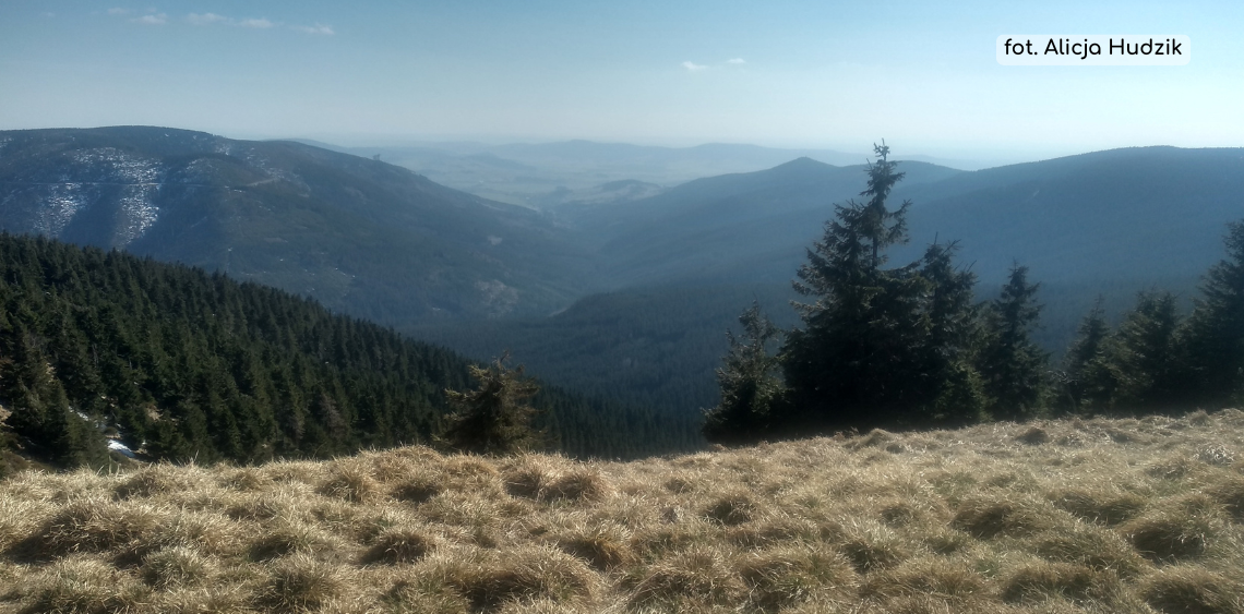 śnieżnik z psem