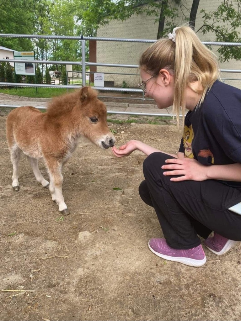 Maria Hajducka karmiąca małego konika – zoofizjoterapia w Gdańsku również dla większych zwierząt.