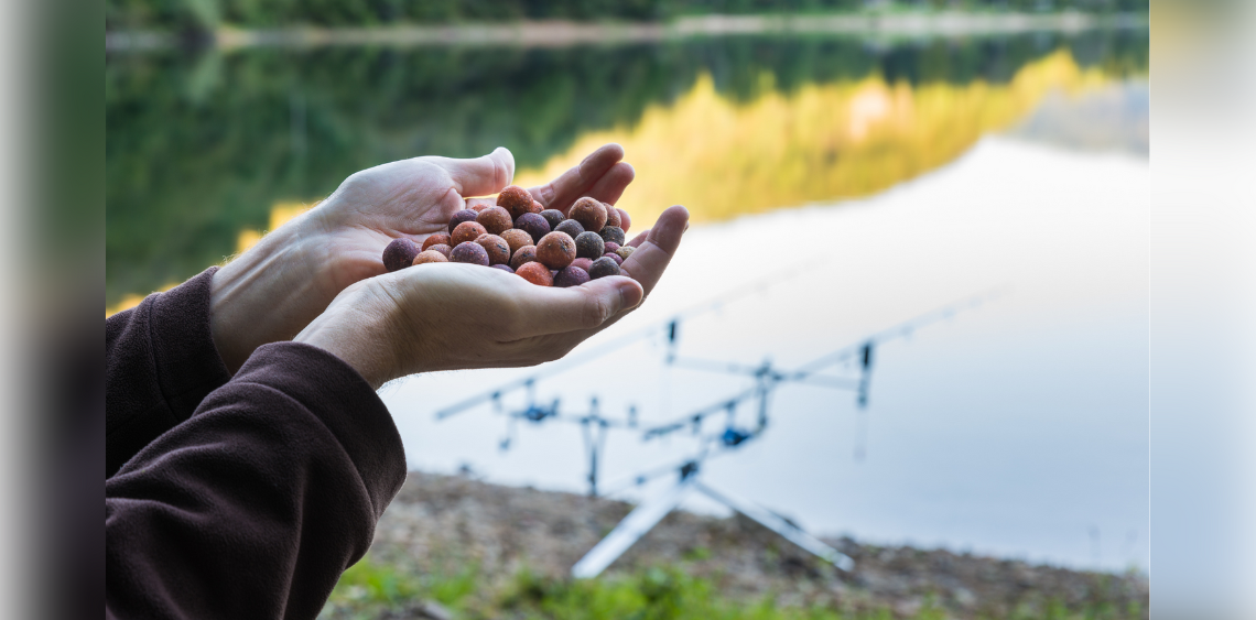 Jak stosować kulki proteinowe?