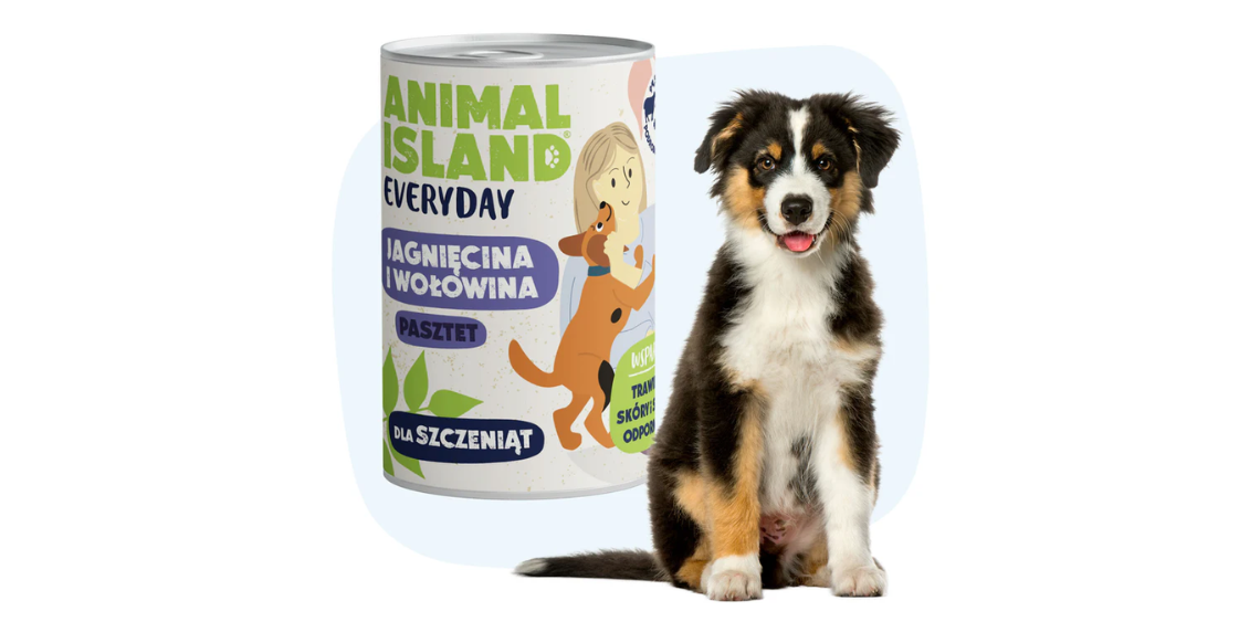 Pierwsze kroki, wielkie potrzeby. Jak karmić szczeniaka, by rósł zdrowo i szczęśliwie