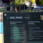 Wybieg dla psów Katowice Józefowiec Dog Park