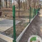 Wybieg dla psów Chorzów Park Śląski