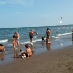 plaża dla psów Rosolina Mare 1 psiPARKpl