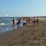 plaża dla psów Rosolina Mare 2 psiPARKpl