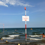 plaża dla psów Rosolina Mare 3 psiPARKpl