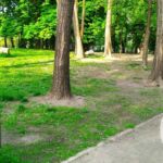 Wybieg dla psów Kraków Prądnicka Park Kleparski Prądnik Biały