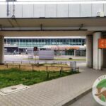 Wybieg dla psów toaleta dla psów Pet Relief Area Warszawa Airport Port Lotniczy Chopina Okęcie